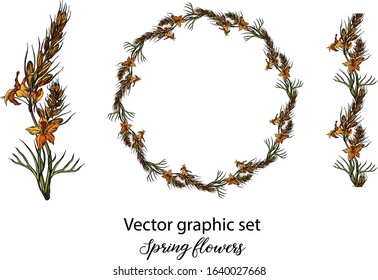 Vector flowers, buds. Botanical illustration. Spring flowers
