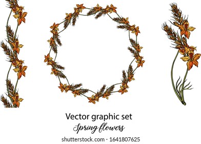 Vector flowers, buds. Botanical illustration. Spring flowers