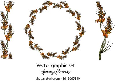 Vector flowers, buds. Botanical illustration. Spring flowers