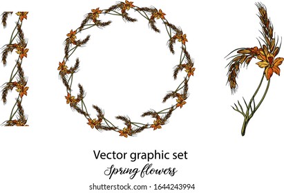 Vector flowers, buds. Botanical illustration. Spring flowers