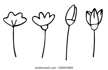 flores vectoriales y brotes enmarcados en estilo doodle.ilustración de contorno blanco y negro dibujada a mano