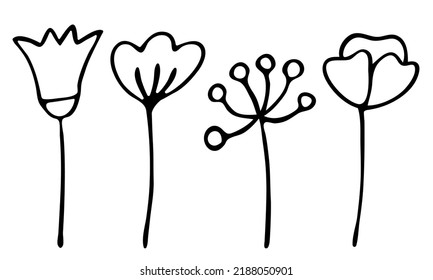 vector flowers and buds set in doodle style.hand-drawn black and white outline illustration