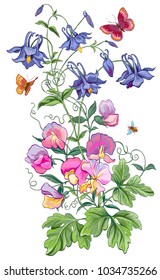 Vector flowers , butterflies and bee. Aquilegia and sweet peas.