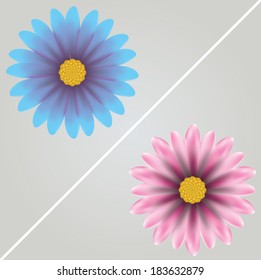 Vector  flowers .EPS10