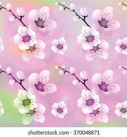 Vector flowers and flowering branches on light colorful background