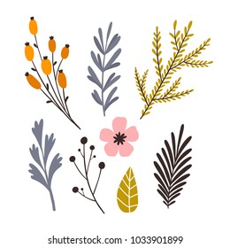 Vector flowers. Hand drawn
