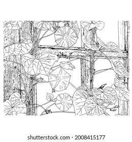 Vector flowers. Hand drawn illustration of garden flowers, old house, black and white. Botanical illustration, isolated on white background