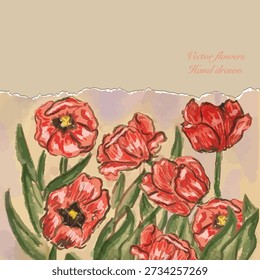 Vector flowers, hand drawn paint texture. Old vintage Magazine style. Beautiful poppy flowers. Artistic and interesting. Isolated.