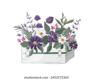 Vector de flores y hierbas en una caja blanca de madera. Manzanilla, gaillardia, salvia, romero, quinua sobre fondo blanco.