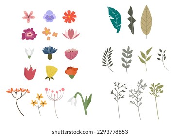 Vector flowers, herbs, grass set. Simple flat botanical design. Hand drawn, isolated on white background.