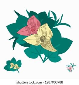 Vector flowers illustration.