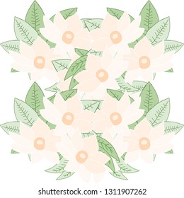 Vector flowers illustration. Plumeria.