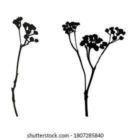 Vector flowers isolated black. Realistic hand drawn flower illustration set on white background.