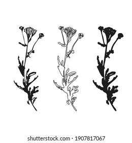 Flores vectoriales aisladas de negro. Ilustración de flores dibujada a mano sobre fondo blanco.