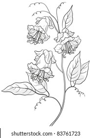 Vector, flowers kobe, petals and leaves, monochrome contours