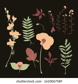 Vector flowers and leafs as objects for decoration  