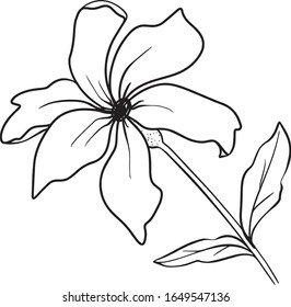 Vector flowers with leaves on an isolated white background. In style cartoon. Use as a postcard, in design, product packaging, wedding invitation