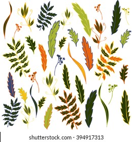 vector flowers, leaves and plants, hand drawn isolated design elements