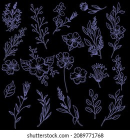 VECTOR FLOWERS IN MINIMALISM Icons
