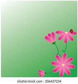 vector flowers on the green background