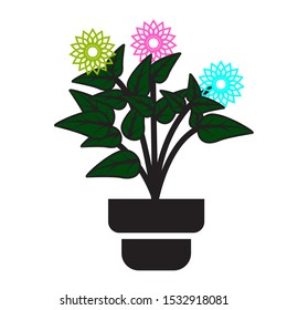 vector of flowers on a white background