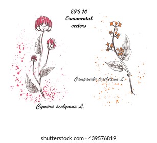Vector flowers. Ornamental motifs. Watercolor.