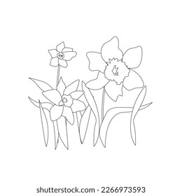 Vector flowers, from outline Narcissist. Hand drawn doodle isolated. Background, decoration for greeting card, invitation. First spring flowers illustration.