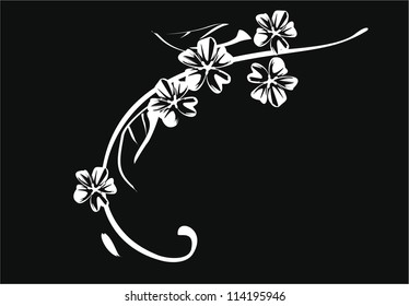 Vector flowers patterns