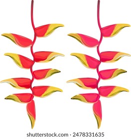 Vector flowers pink, red. Bright tropical flowers