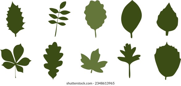 flores vectoriales rosa rojo rosa y hojas para marco y decoración