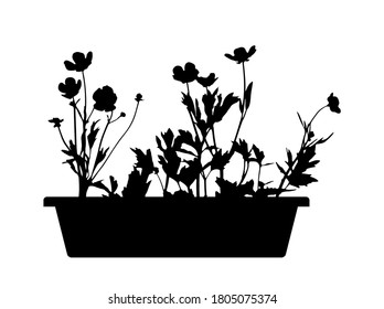 vector flowers in planter isolated on white background