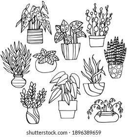 Vector flowers in pots. Indoor plants in doodle style for decorating postcards and creating stickers.