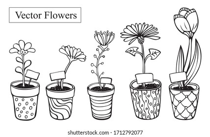 Flores vectoriales en macetas con decoración variada, fantasía de flores primaverales, negro y blanco, dibujado a mano con tinta.