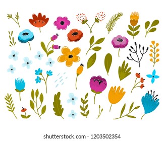 Vector flowers and seasonal plants, herbs big vector collection. All elements are isolated and editable.