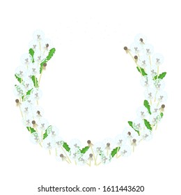 vector flowers semicircle frame pattern on white