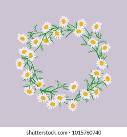 Vector flowers set. Beautiful wreath on purple background. Elegant floral daisy collection