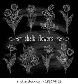 Vector flowers set. Chalk collection of beautiful bouquets for your design