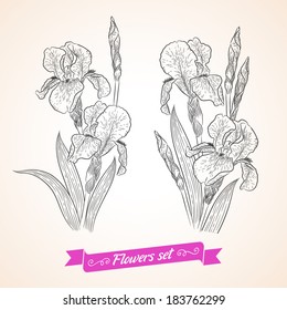 Vector flowers set. Collection of beautiful bouquets for your design