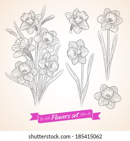 Vector flowers set. Collection of beautiful bouquets for your design