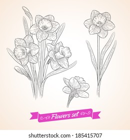 Vector flowers set. Collection of beautiful bouquets for your design