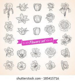 Vector flowers set. Collection of beautiful elements for your design