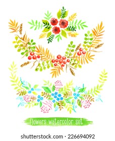 Vector flowers set. Colorful floral collection with leaves and flowers, drawing watercolor. Spring or summer design for invitation, wedding or greeting cards