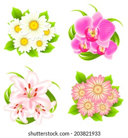Vector flowers set of daisy, orchid, lily isolated on white