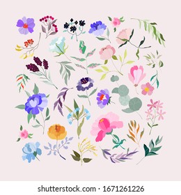 Vector Flowers set. Elegant feminine eucalyptus, wild purple peonies, violet branch, branches with berries. Variety of garden botanics for web, app, pattern and logo design. Modern illustration.