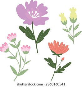 Vector Flowers Set Floral Collection 