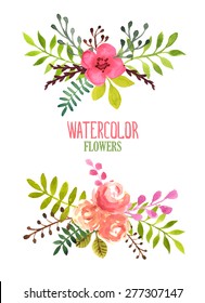 Vector flowers set. Hand painted illustration.