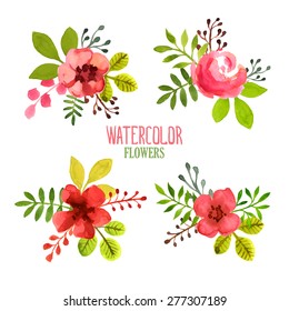 Vector flowers set. Hand painted illustration.