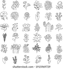 Flores rectoras ilustran. Iconos de flores abstractas aislados en fondo blanco.Ilustración aislada de material vectorial