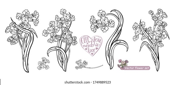 Vektorblumen Set, Illustration schöner Sommerblumen:  
verschiedene Zusammensetzung der Blumen