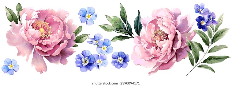 Flores vectoriales de objetos aislados. Hermosa peonía rosa, hojas, flores azules. El estilo acuático es adecuado para invitaciones de boda y tarjetas. Estilo de verano. Aislado y editable